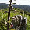 Hunua Park

