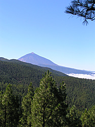 View on the Pico del Teide